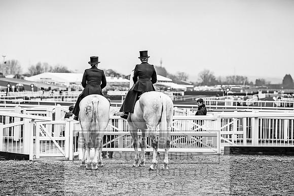 Side Saddle at Aintree 2018-28
