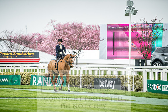 Side Saddle at Aintree 2018-122