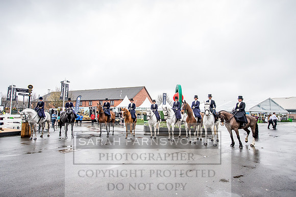 Side Saddle at Aintree 2018-50