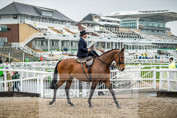 Side Saddle at Aintree 2018-22