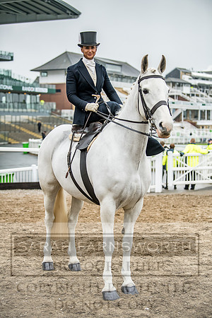 Side Saddle at Aintree 2018-15