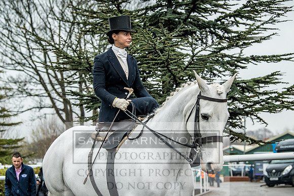 Side Saddle at Aintree 2018-80