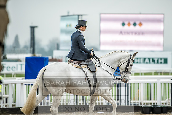Side Saddle at Aintree 2018-1