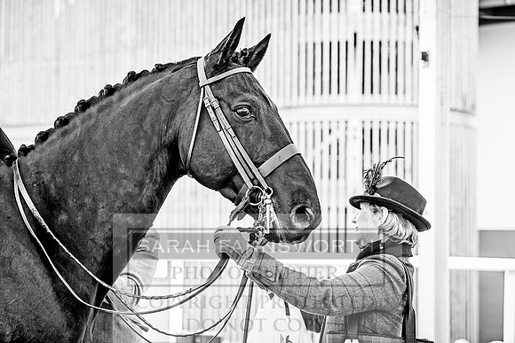 Side Saddle at Aintree 2018-74