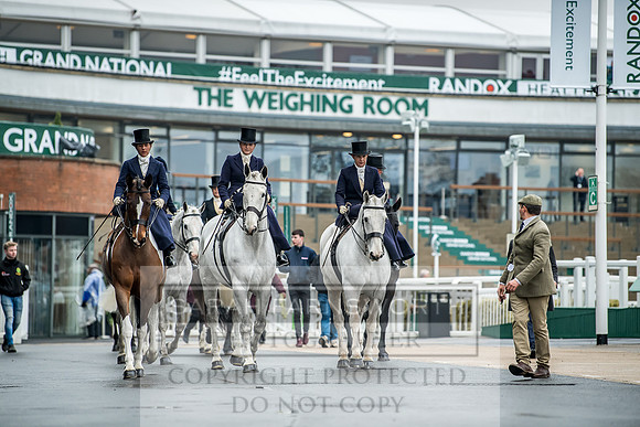 Side Saddle at Aintree 2018-33