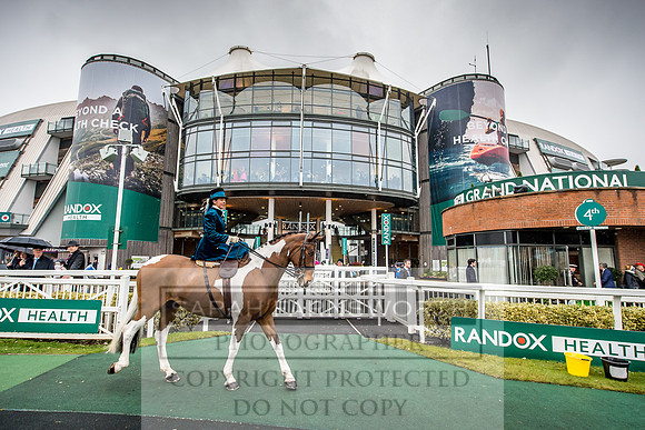 Side Saddle at Aintree 2018-106