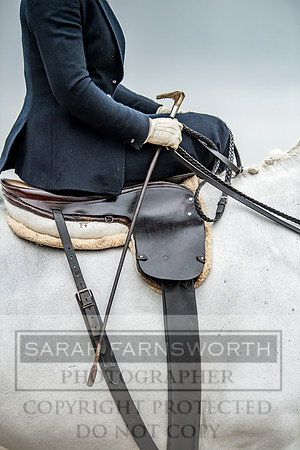 Side Saddle at Aintree 2018-12