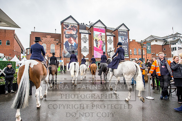 Side Saddle at Aintree 2018-72