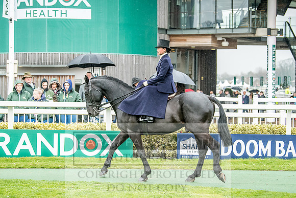 Side Saddle at Aintree 2018-130