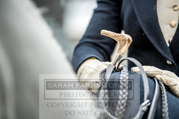 Side Saddle at Aintree 2018-20