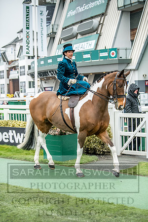 Side Saddle at Aintree 2018-113