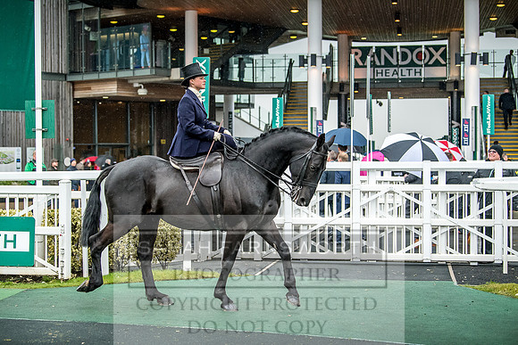 Side Saddle at Aintree 2018-93