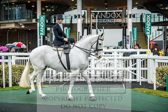 Side Saddle at Aintree 2018-92