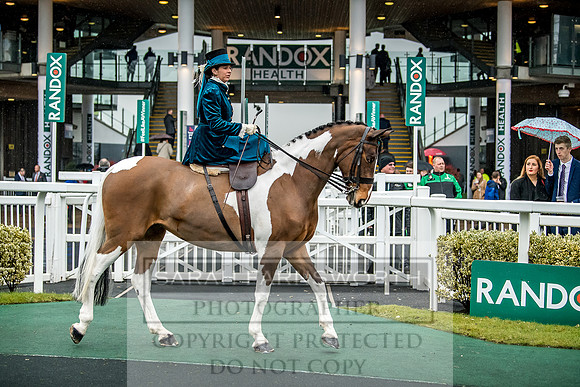 Side Saddle at Aintree 2018-95