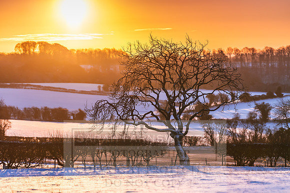 Snowy Cotswolds January 2021-11