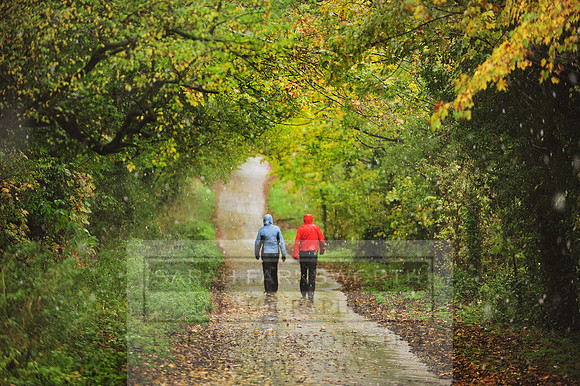 Autumn Snow 015