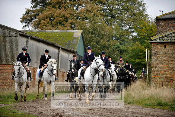 Brocklesby 021113 CF3 877