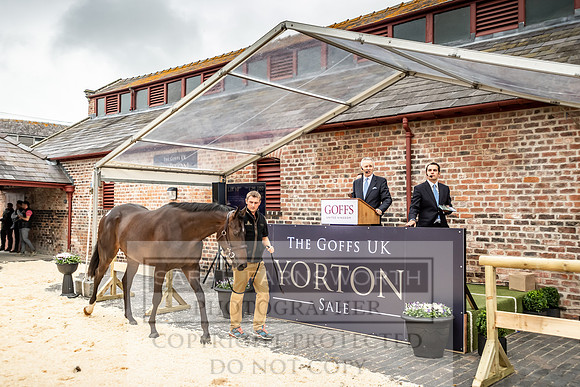GUK Yorton Sale 2019-323