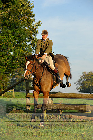 Wilton 011011 021