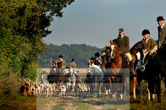 Wilton 011011 022