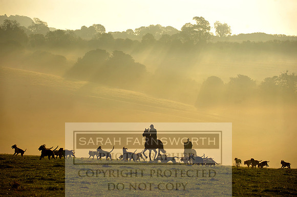 Wilton misty morning 3