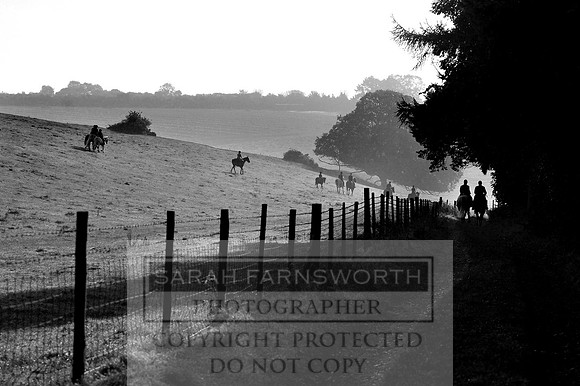 Wilton 011011 063 bw