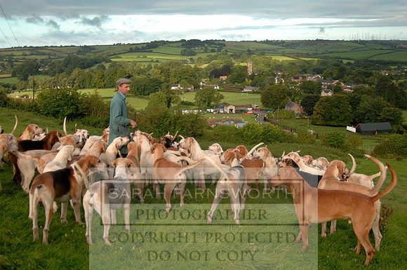 Cattistock hounds 02