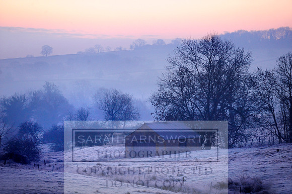 frosty morn 004