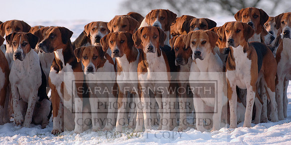 SWWWH 090110 43 pan