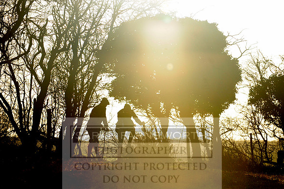 beaglers in silhouette