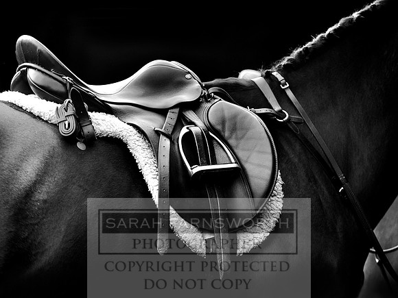 CHH 111210 h bw 16x12
