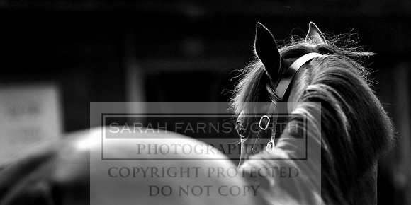 DBS 010911 008 bw