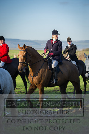 BHWC 031214-164