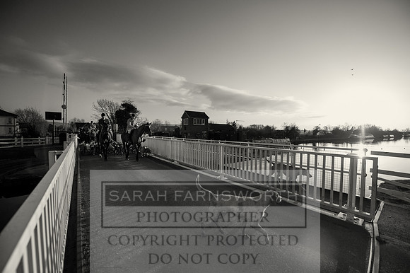 BHWC 031214-260 bw