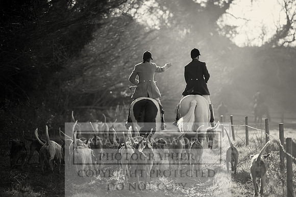 BHWC 031214-145 bw