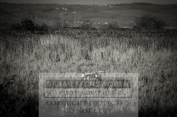 BHWC 031214-131 bw