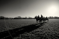 BHWC 031214-18 bw