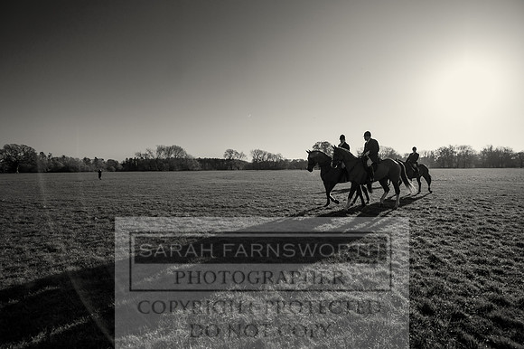 BHWC 031214-18 bw