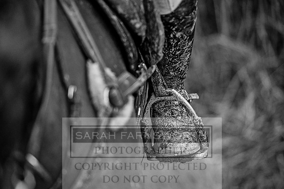 Ludlow 261215-522 bw