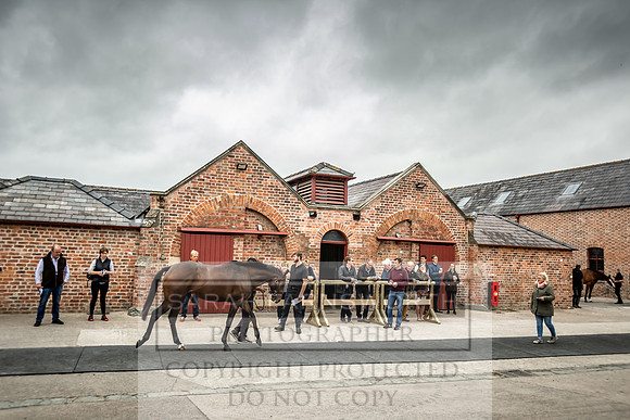 GUK Yorton Sale 2019-166