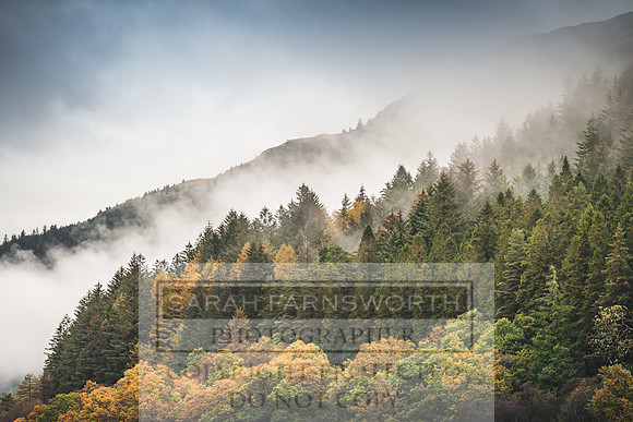 Loch Eck October 2019-9