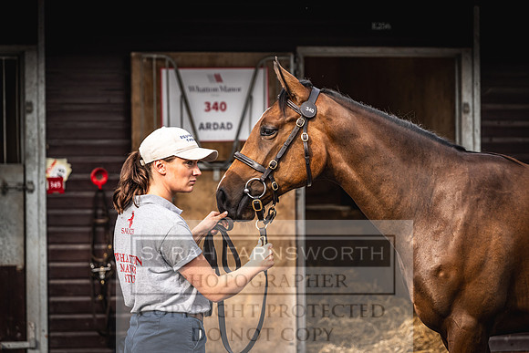 Goffs UK PY24-362