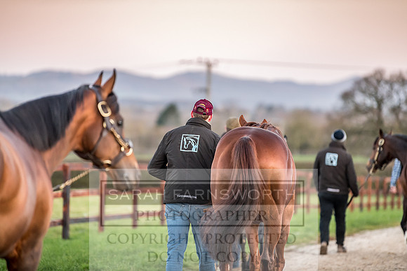 Tweenhills January 2019-37