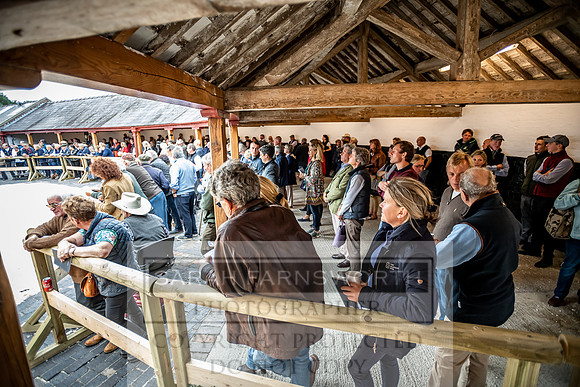 GUK Yorton Sale 2019-280