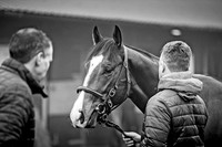 GUK Breeze Up 2018-18