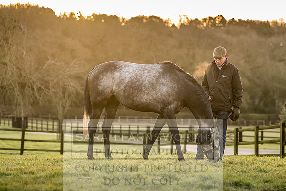 Tweenhills January 2019-88