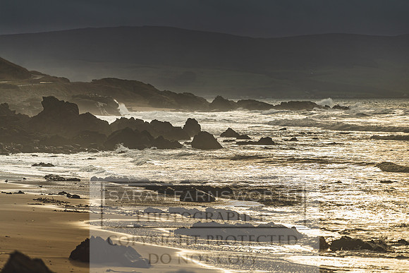 Argyll January 2020-34