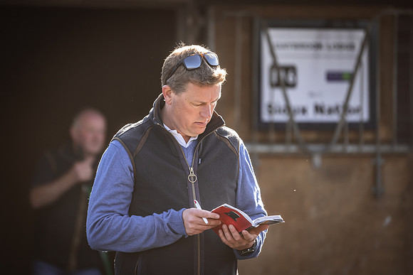 Goffs UK Breeze Up 2022-81