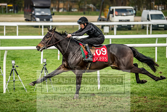 GUK Breeze Up 2018-242
