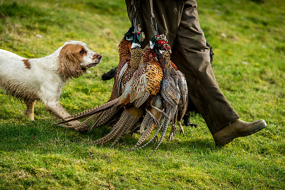 Overbury Beaters Day 2018-202